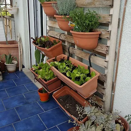 Bed and breakfast Charme&chic 4*